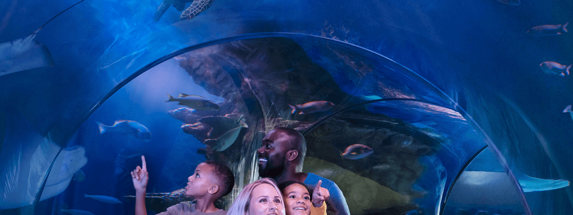 SEA LIFE Michigan Aquarium